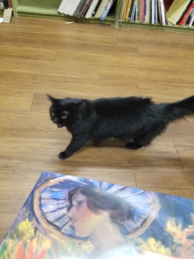 Used Book Store «Recycle Bookstore», reviews and photos, 1066 The Alameda, San Jose, CA 95126, USA