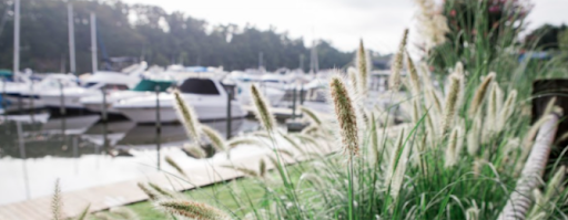 Wedding Venue «Harbour View», reviews and photos, 13200 Marina Way, Woodbridge, VA 22191, USA