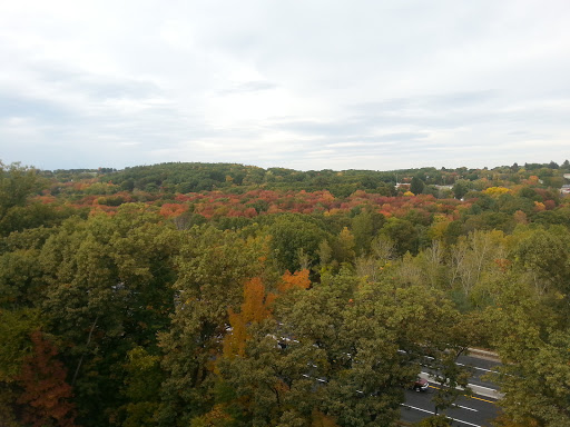 Electronics Store «Best Buy», reviews and photos, 70 Worcester-Providence Turnpike, Millbury, MA 01527, USA