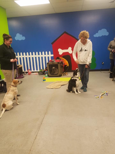 Shopping Mall «The Pointes Shopping Center», reviews and photos, 1040 E Sternberg Rd, Norton Shores, MI 49441, USA