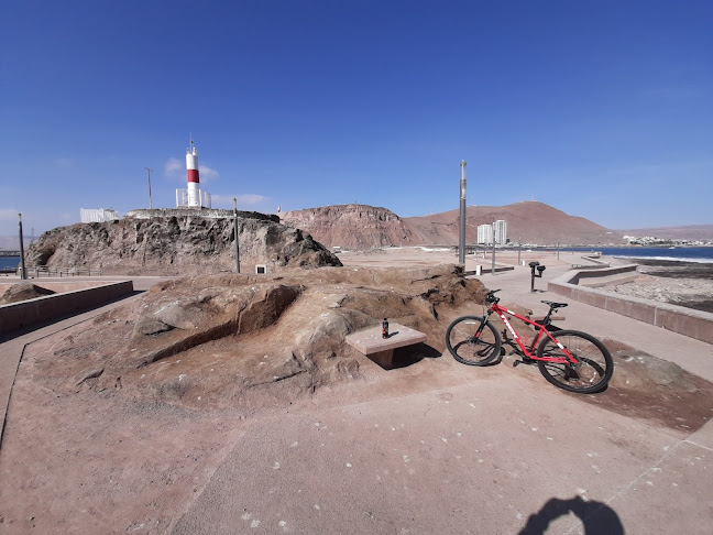 Opiniones de Go Cars Arica en Arica - Servicio de lavado de coches