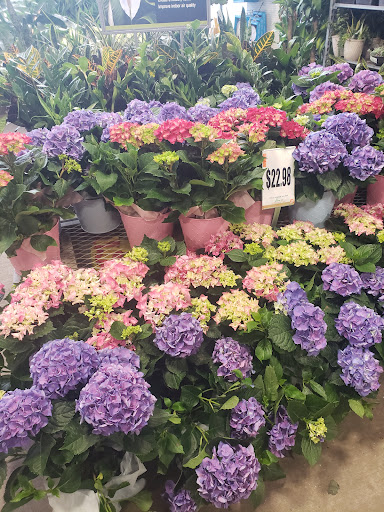 Home Improvement Store «The Home Depot», reviews and photos, 2250 Easton Rd, Willow Grove, PA 19090, USA