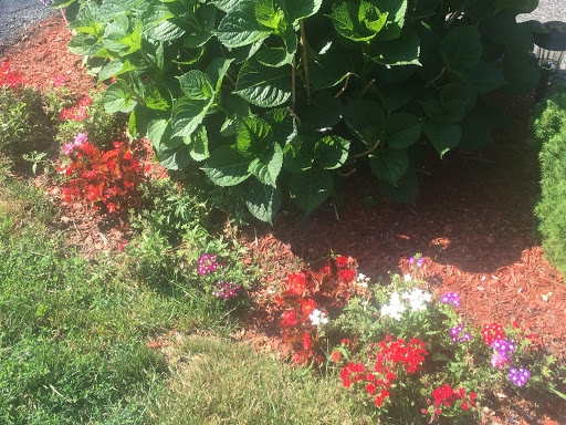 Landscaper «Evergreen Nurseries Inc.», reviews and photos, 688 Cross River Rd, Katonah, NY 10536, USA