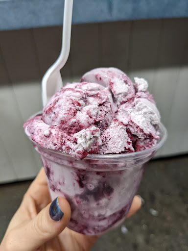 Ice Cream Shop «Blueberry Hill Dairy Bar», reviews and photos, 355 High St, Ellsworth, ME 04605, USA