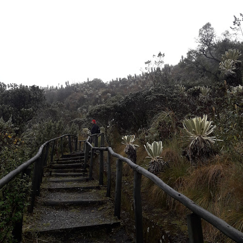 Opinii despre Restaurante Doña Mary în El Ángel - Restaurante