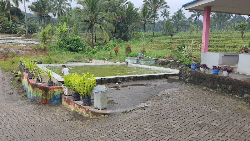 Kolam Renang di Kabupaten Bolaang Mongondow Timur: Menikmati Keindahan Air Panas Candi Rejo dan Tempat Lainnya