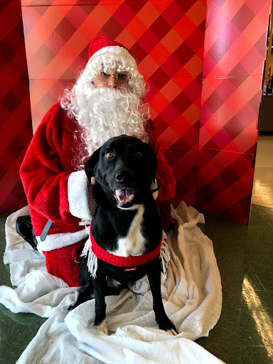 Pet Supply Store «Petco Animal Supplies», reviews and photos, 30697 US Hwy 19 N, Palm Harbor, FL 34684, USA