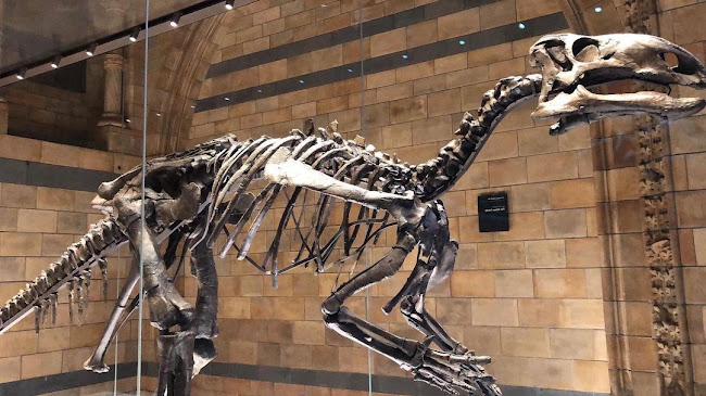 Reviews of Flett Theatre, Natural History Museum in London - Event Planner