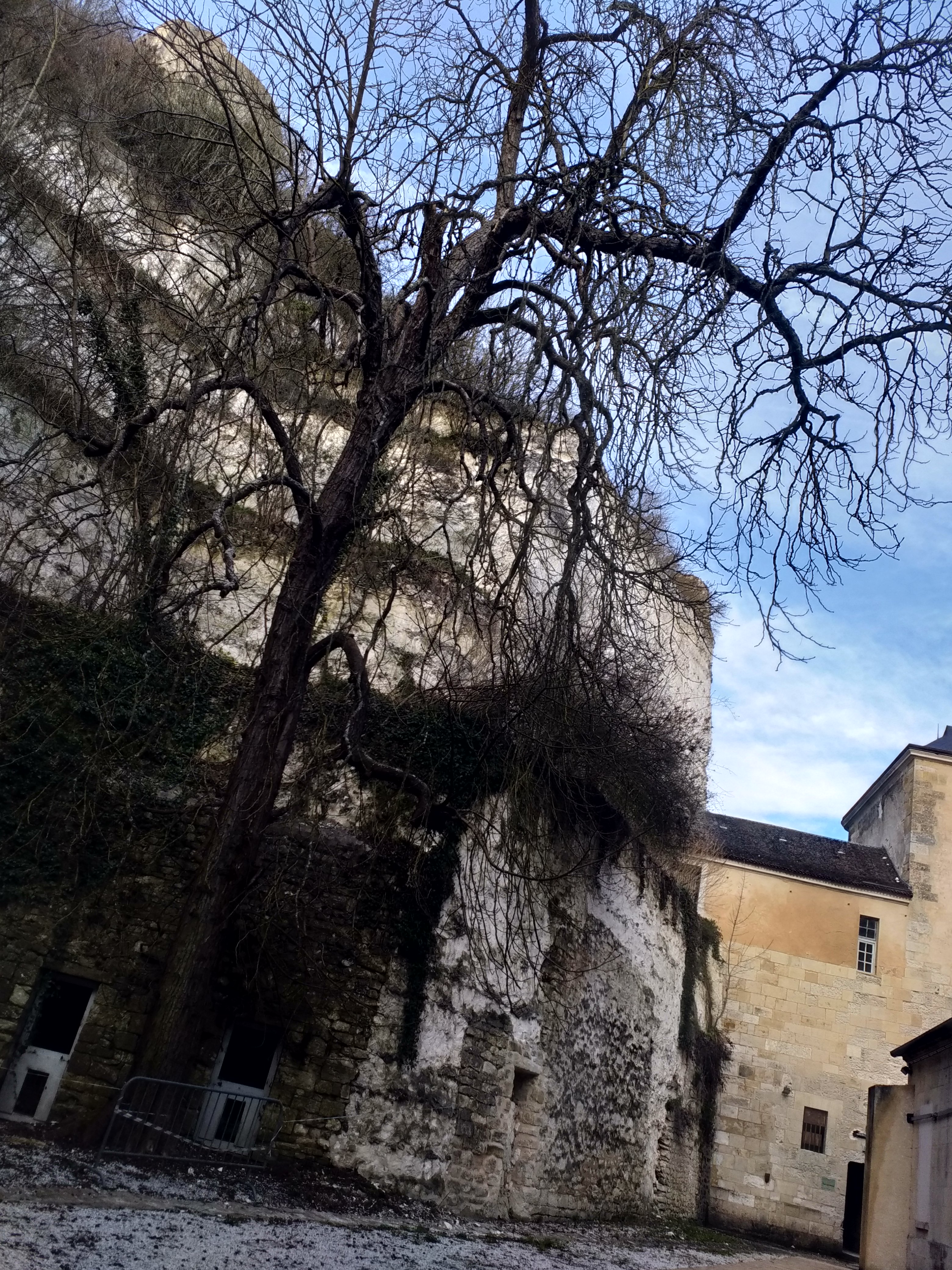 Photo n° 3 de l'avis de Françoise.e fait le 30/03/2018 à 08:36