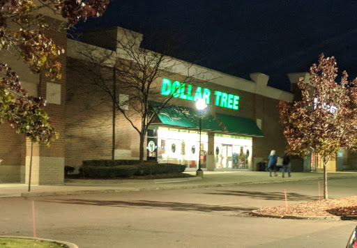 Dollar Store «Dollar Tree», reviews and photos, 4912 S Baldwin Rd, Orion Charter Township, MI 48359, USA
