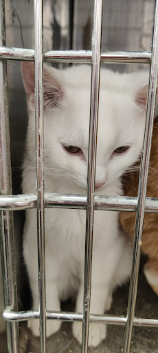 Pet Supply Store «PetSmart», reviews and photos, 20 W University Pkwy, Orem, UT 84058, USA