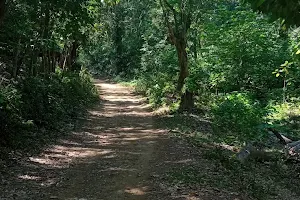 Sendero Las Minas image