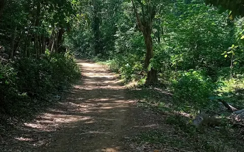 Sendero Las Minas image