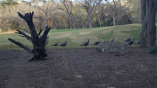 Golf Course «Lost Creek Country Club», reviews and photos, 2612 Lost Creek Blvd, Austin, TX 78746, USA