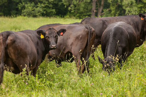 Butcher Shop «Fleishers Craft Butchery», reviews and photos, 192 5th Ave, Brooklyn, NY 11217, USA