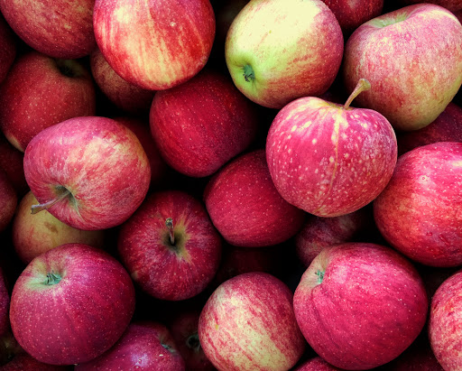 Produce Market «Barber Orchard Fruitstands Inc», reviews and photos, 2855 Old Balsam Rd, Waynesville, NC 28786, USA