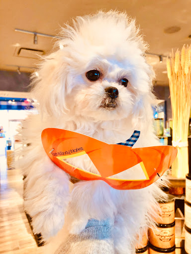 Beauty Supply Store «Bath & Body Works», reviews and photos, 8390 Tamarack Village, Woodbury, MN 55125, USA