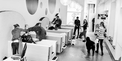 Pet Groomer «Bubbly Paws Dog Wash & Grooming», reviews and photos, 949 Grand Ave, St Paul, MN 55105, USA