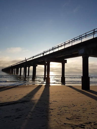 Pet Supply Store «Outer Barks - Water Front Shops», reviews and photos, 1240 Duck Rd, Duck, NC 27949, USA