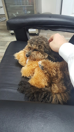 Barber Shop «Your Dads Barber Shop», reviews and photos, 1301 Bayshore Blvd, Dunedin, FL 34698, USA