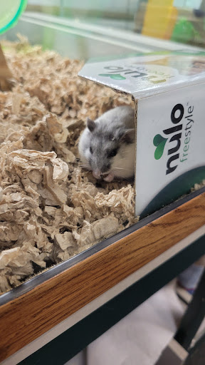 Pet Supply Store «Pet Loft», reviews and photos, 6333 SW Macadam Ave #104, Portland, OR 97239, USA