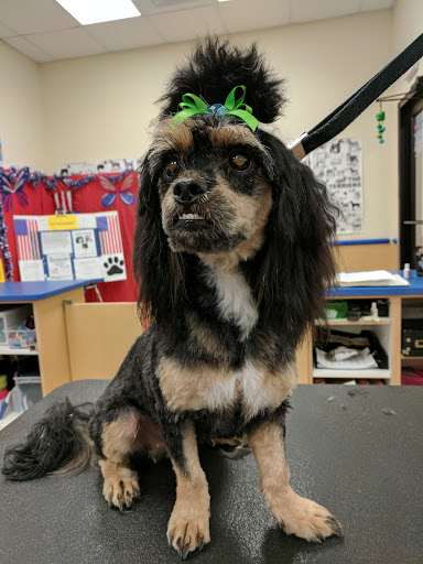 Pet Store «Petsense Pine Bluff», reviews and photos, 5514 S Olive St, Pine Bluff, AR 71603, USA