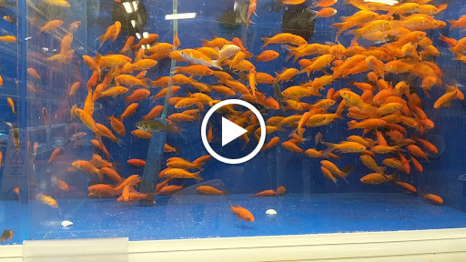 Pet Supply Store «PetSmart», reviews and photos, 2141 N Rose Ave, Oxnard, CA 93036, USA