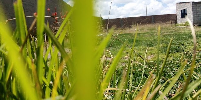 Comentarii opinii despre Villa Deportiva Campo Mar