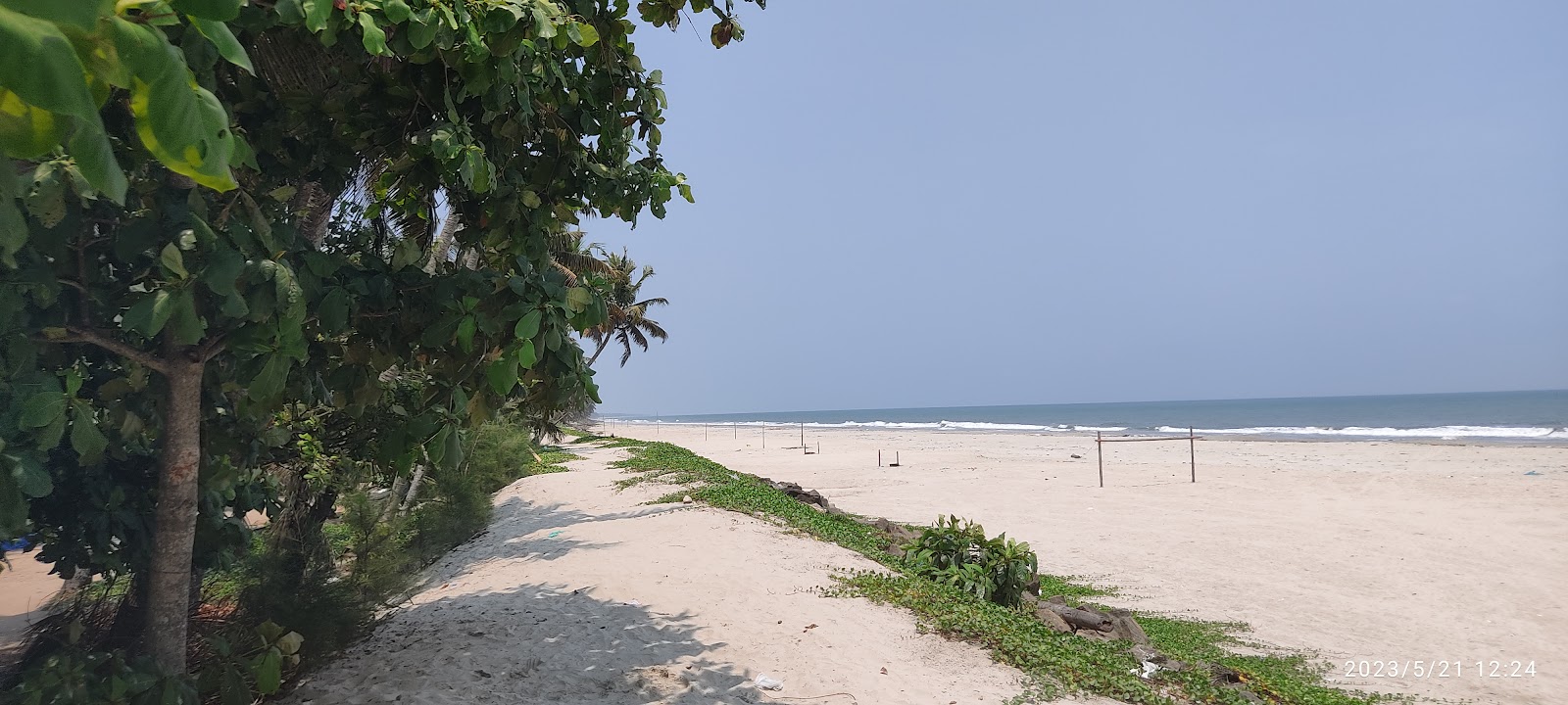 Foto van Chellanam Beach Kochi wilde omgeving
