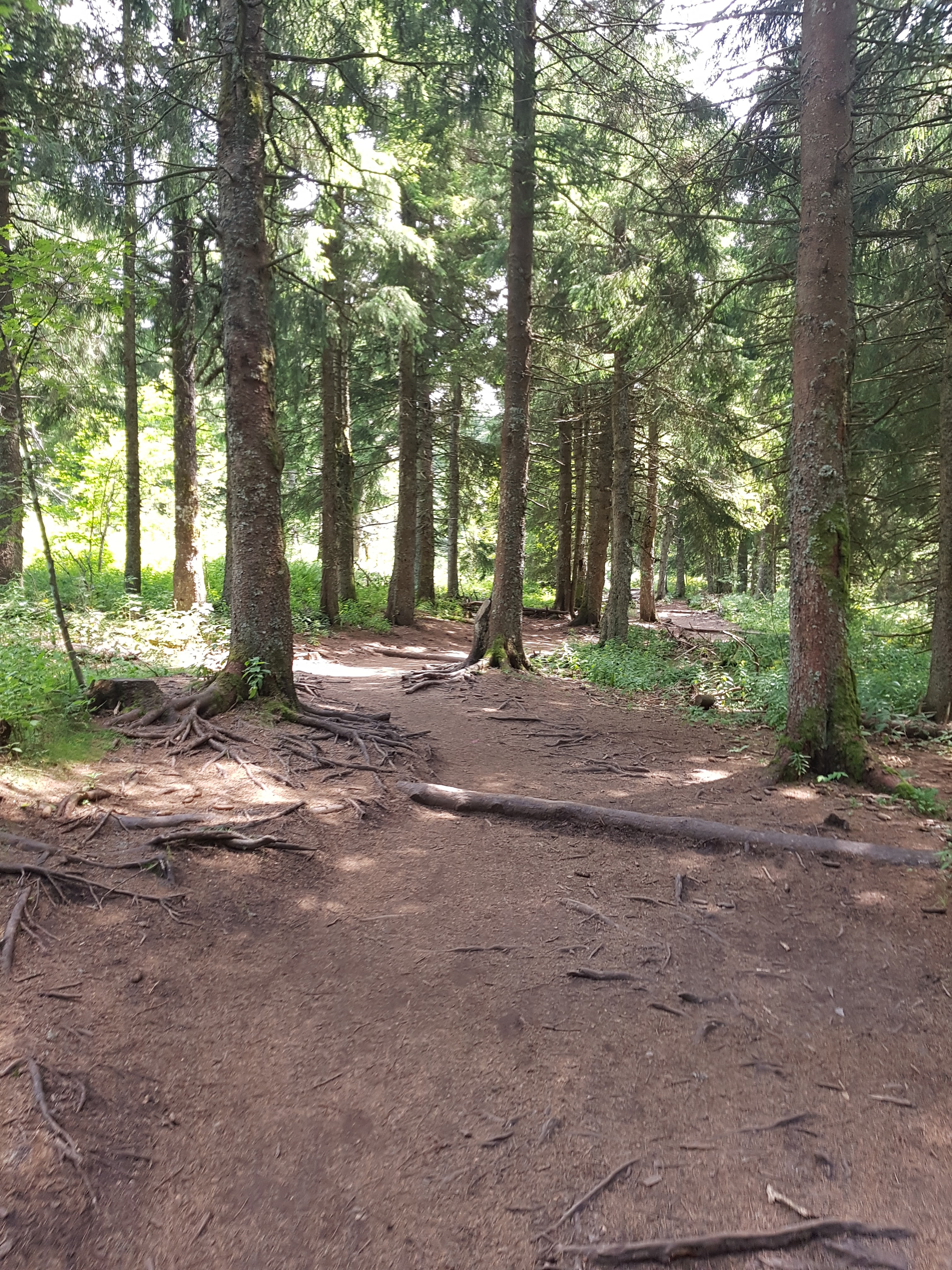 Photo n° 4 de l'avis de Perryne.o fait le 01/08/2018 à 15:32