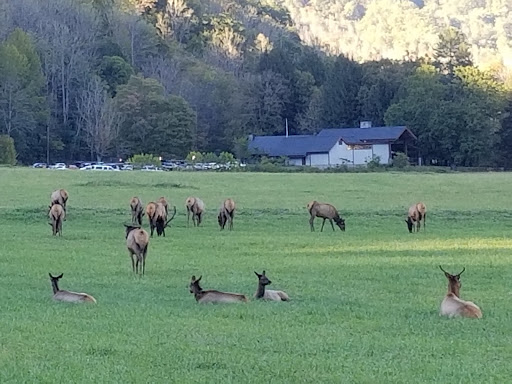 National Park «Great Smoky Mountains National Park», reviews and photos