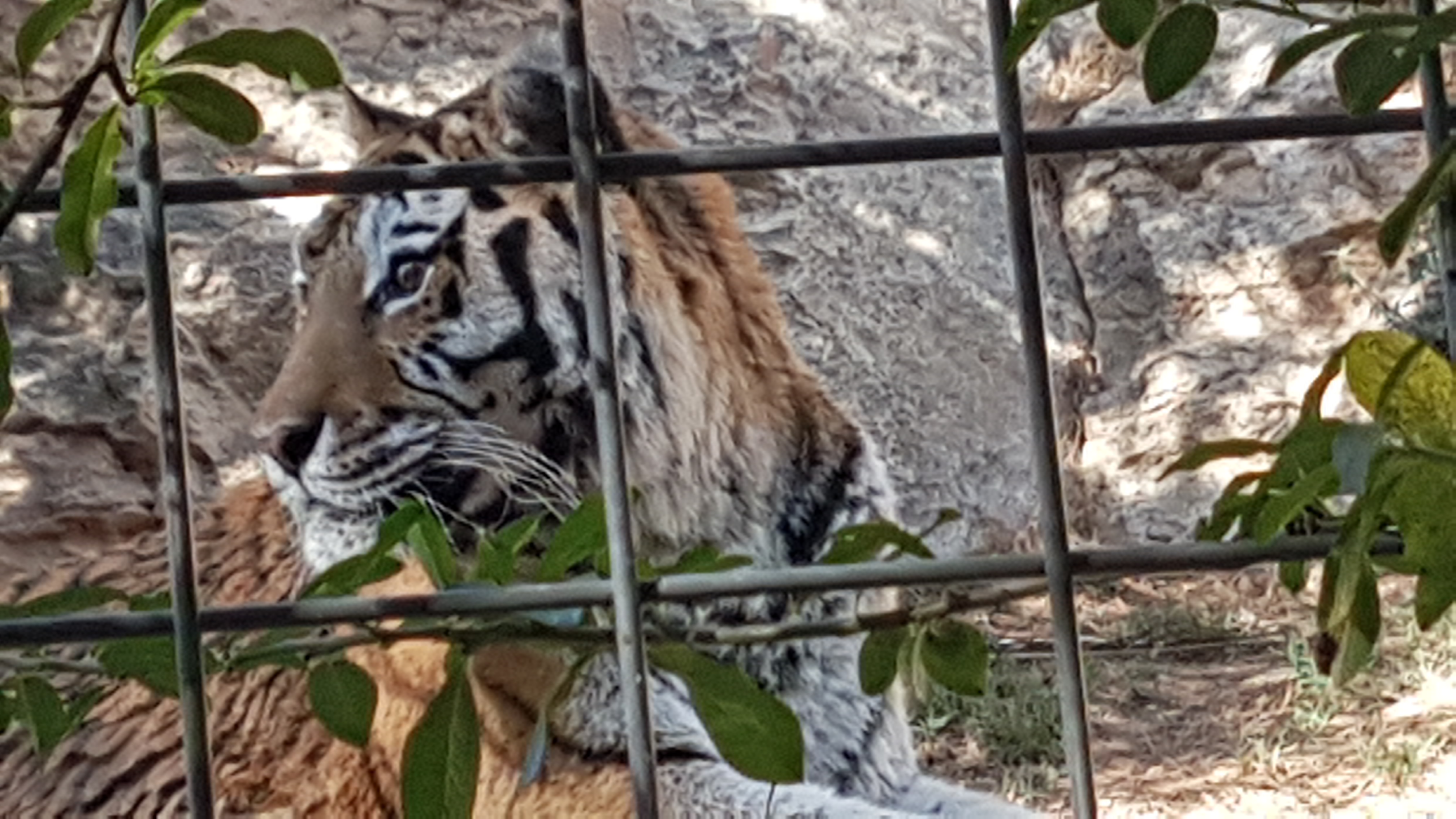 Photo n° 13 de l'avis de Dominique.A fait le 05/08/2017 à 15:53