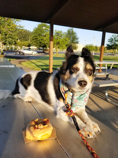 Coffee Shop «Sugar Shack Donuts & Coffee», reviews and photos, 428 Garrisonville Rd, Stafford, VA 22554, USA