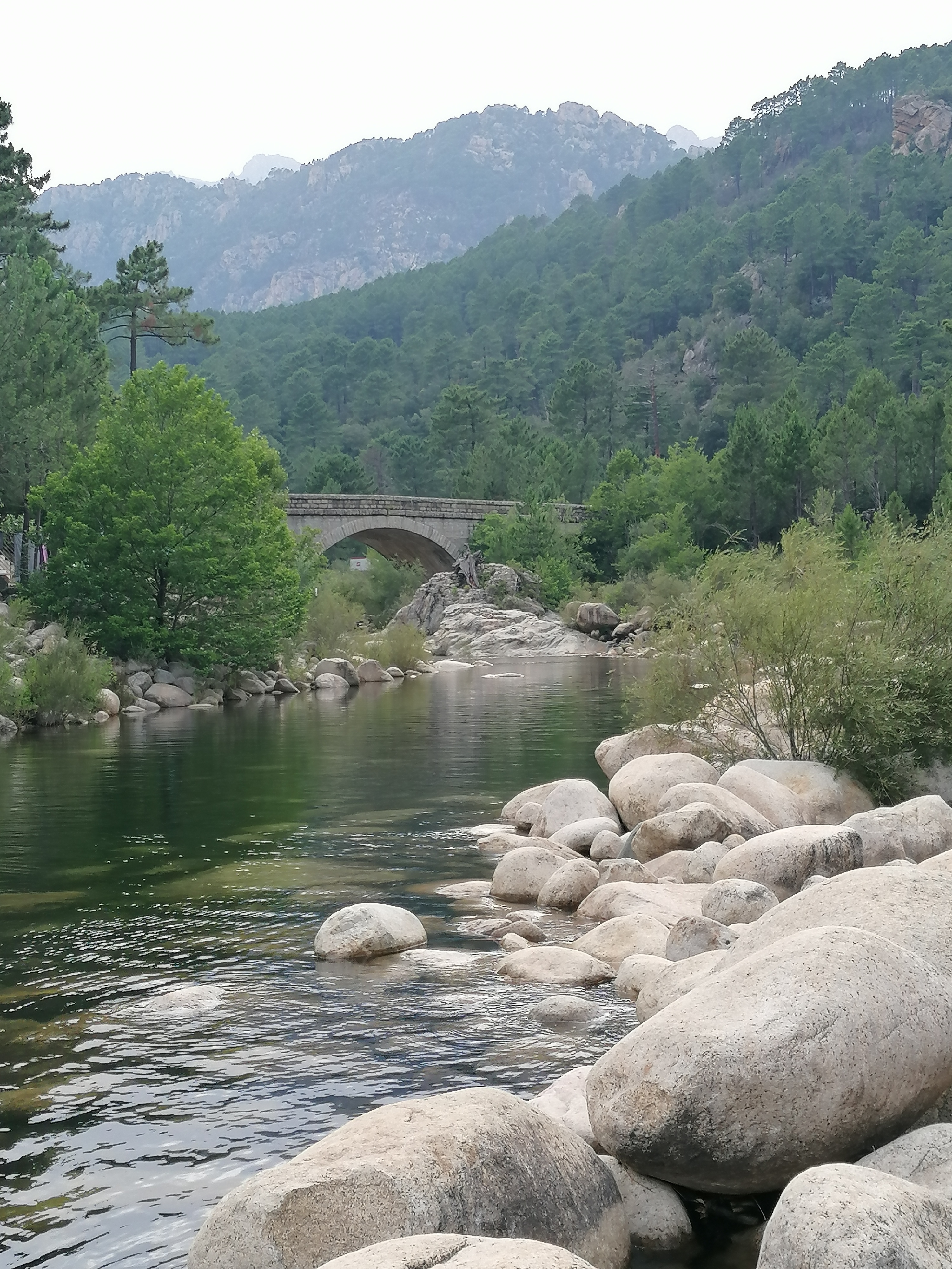 Photo n° 3 de l'avis de isabelle. fait le 22/06/2023 à 18:40