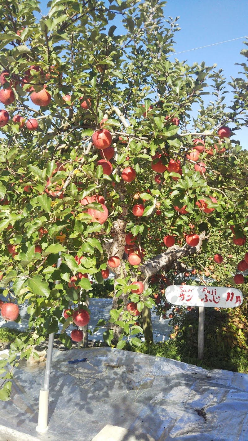 サイトウリンゴ園