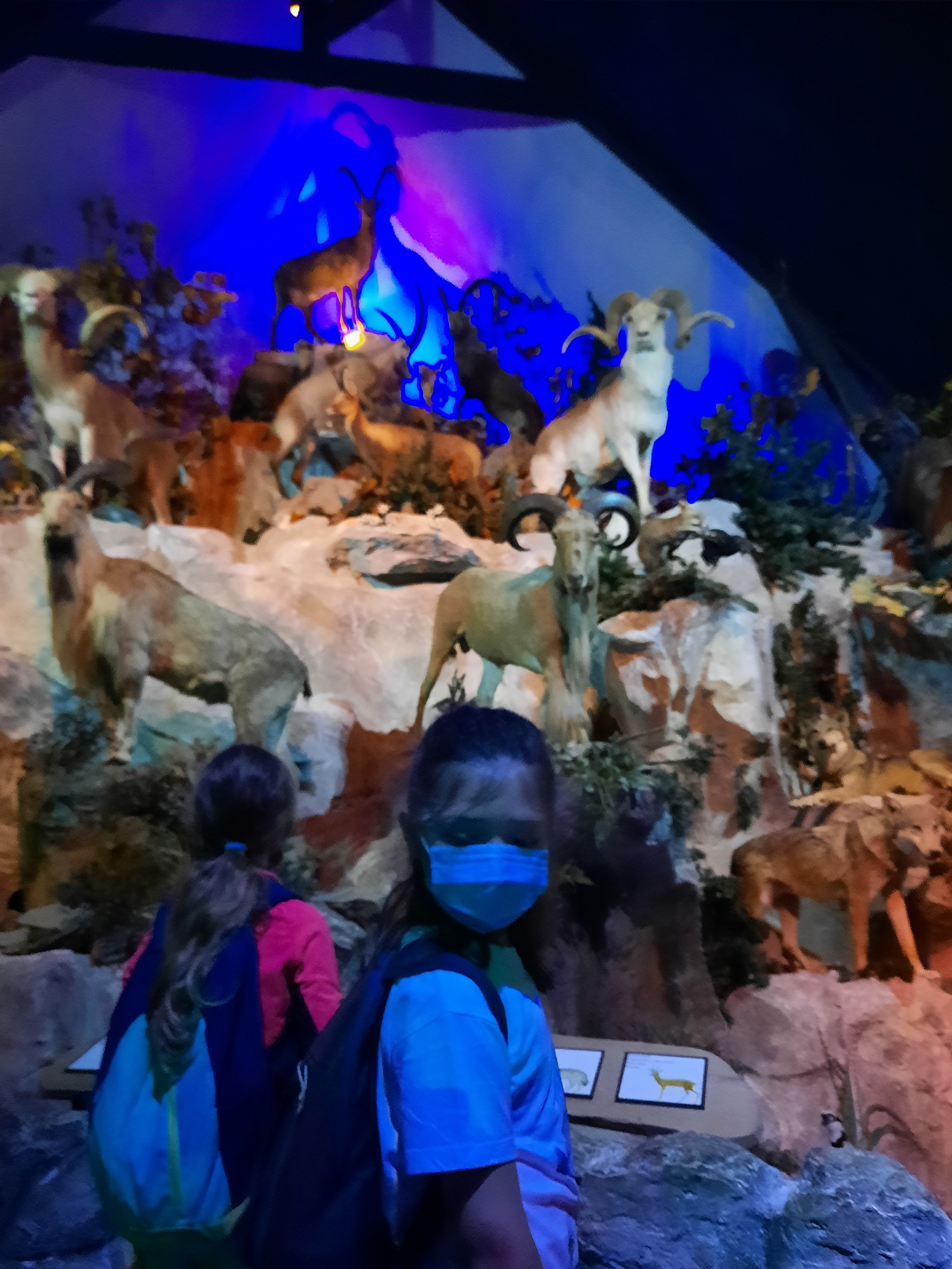 Photo n° 5 de l'avis de Michel.o fait le 29/07/2021 à 22:08