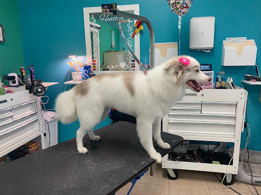 Pet Store «Pets Place Grooming», reviews and photos, 1272 SW California Blvd, Port St Lucie, FL 34953, USA