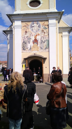 Strada Mitropolit Andrei Şaguna 9, Târgu Mureș 540090