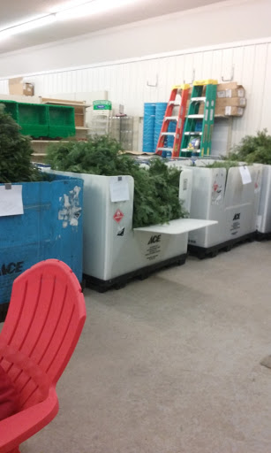 Hardware Store «Cumberland Ace Hardware & Lumber», reviews and photos, 2421 Superior Ave, Cumberland, WI 54829, USA