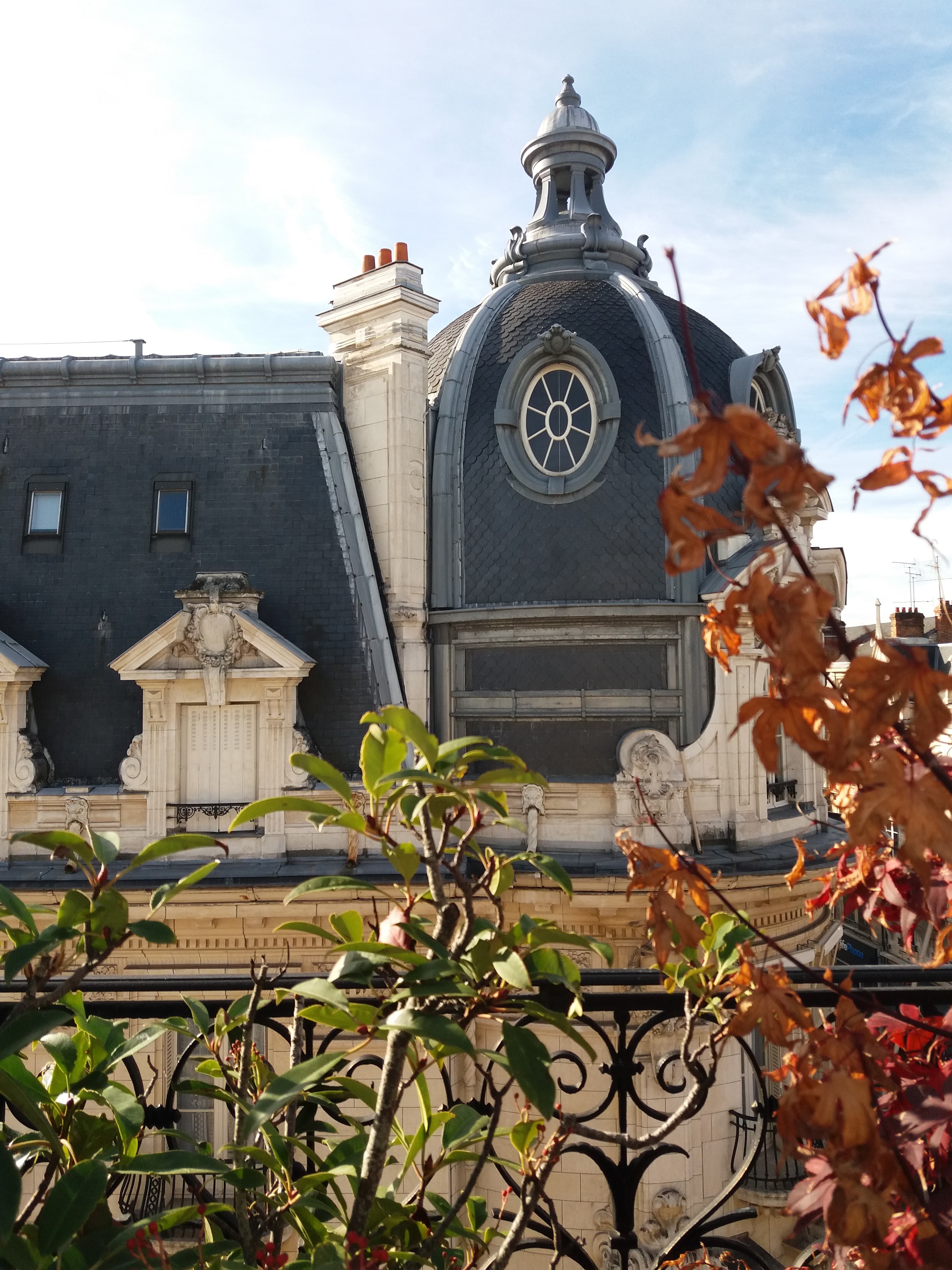 Photo n° 1 de l'avis de Angy. fait le 17/10/2021 à 11:53