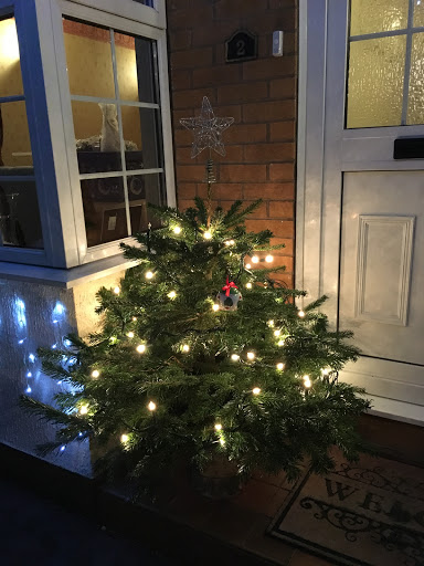 The Christmas Tree Company - Beeston
