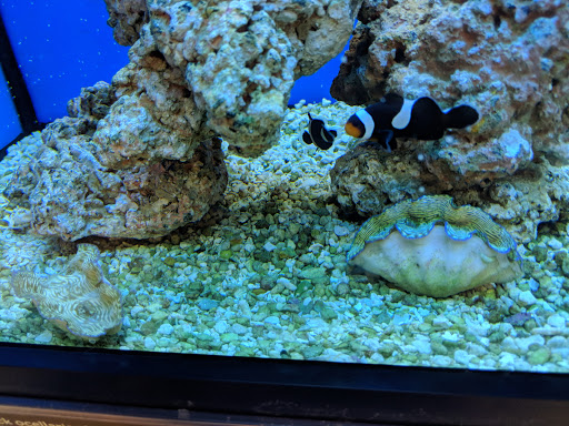 Pet Supply Store «Petco Animal Supplies», reviews and photos, 4491 Kirkwood Hwy, Wilmington, DE 19808, USA