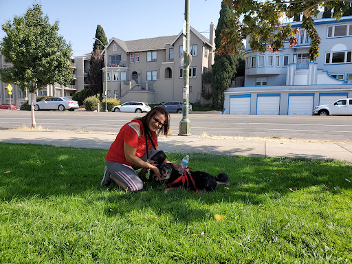 Pet Supply Store «Unleashed by Petco», reviews and photos, 699 Lewelling Blvd #168, San Leandro, CA 94579, USA
