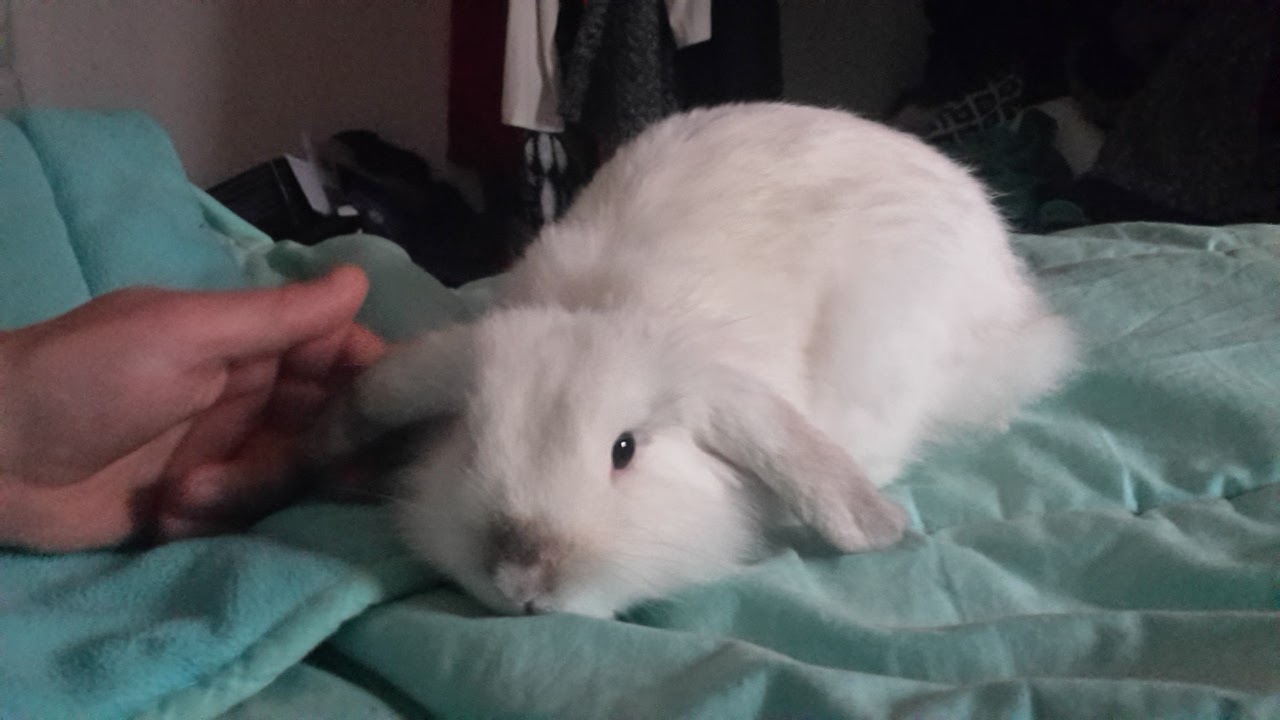 Photo n° 21 de l'avis de Isa.a fait le 01/07/2018 à 22:34