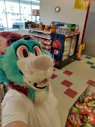 Grocery Store «Save-A-Lot», reviews and photos, 1926 E Silver Springs Blvd, Ocala, FL 34470, USA