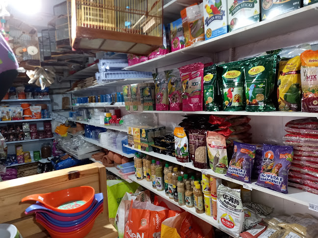 Horário de funcionamento de Mercado da Madalena