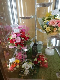 第一花壇 ＰＡＳＥＯ宇都宮店