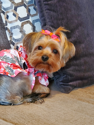 Pet Supply Store «PetSmart», reviews and photos, 467 Cross Keys Rd, Sicklerville, NJ 08081, USA