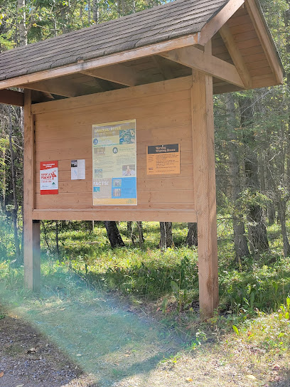 Brazeau River Campground