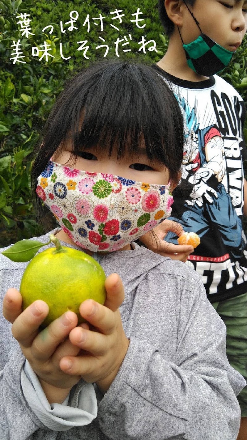 香林の園 福岡県古賀市小竹 果樹園 グルコミ